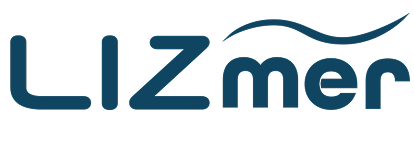 Lizmer Finance